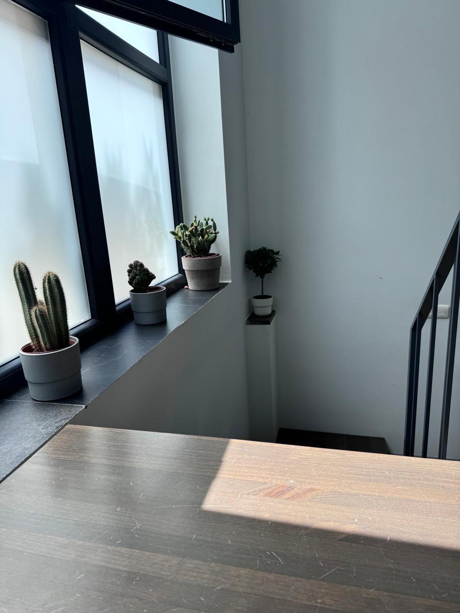 Sumaloft Prensa Appartement Málaga